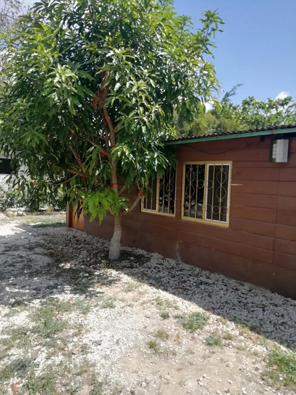 Cabanas Chaac Calakmul 斯普希尔 外观 照片