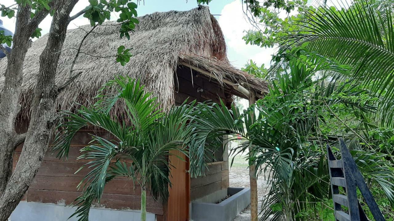 Cabanas Chaac Calakmul 斯普希尔 外观 照片